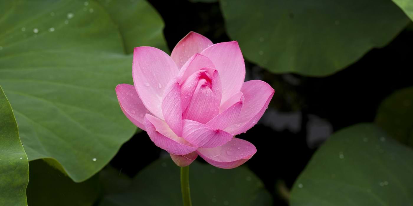 What Womanhood Means to Me: An Unflinching Account