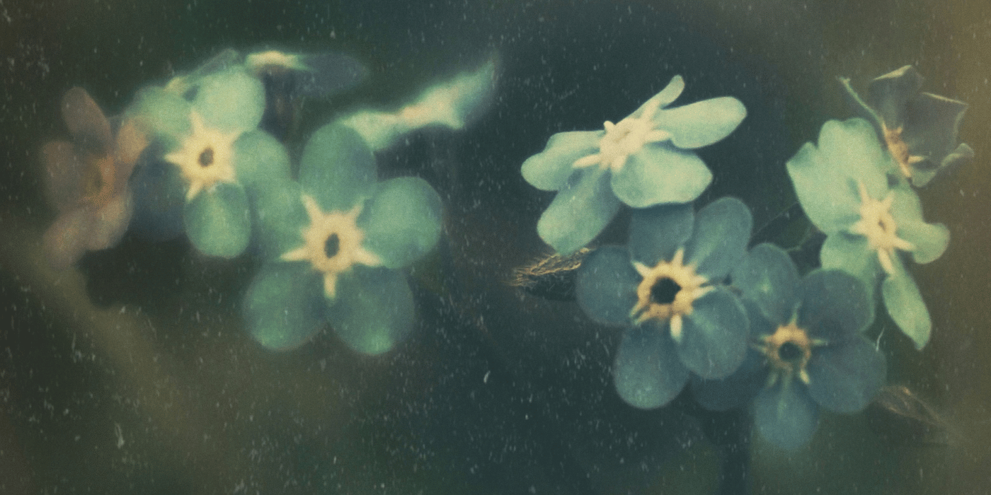 Memory & The Struggle to Forget